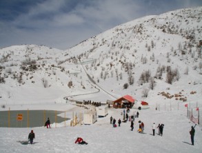 picture